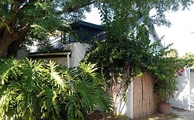 The Farmhouse Palm Tree Cabin