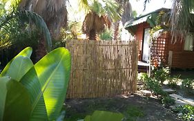 The Farmhouse Palm Tree Cabin